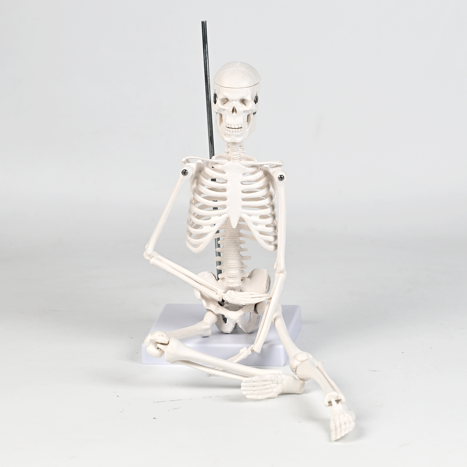45CM bones (section A)